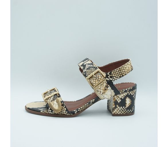 Sandalia serpiente Arezzo