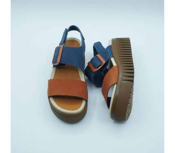 1578 Multi Color Art